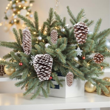 JOHOUSE Natural Pine Cones with Snow for Christmas Decor