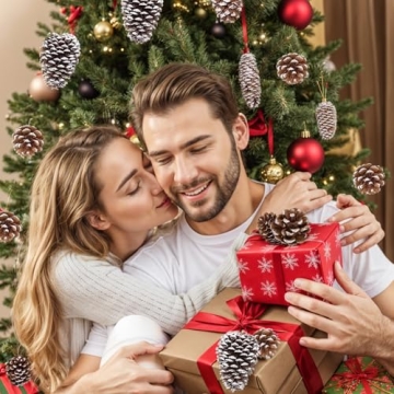 JOHOUSE Natural Pine Cones with Snow for Christmas Decor