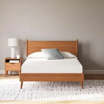 Signature Design Ashley 10 Inch Medium Firm Queen Mattress