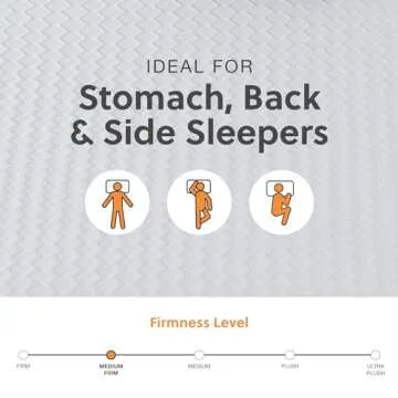 Signature Design Ashley 10 Inch Medium Firm Queen Mattress