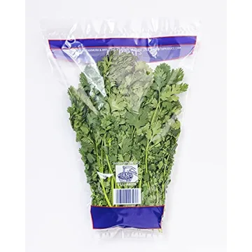 Fresh Cilantro Bunch - Zesty Flavor for Any Dish