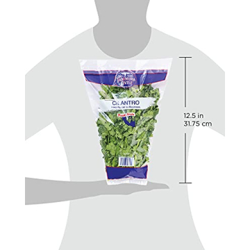 Fresh Cilantro Bunch - Zesty Flavor for Any Dish