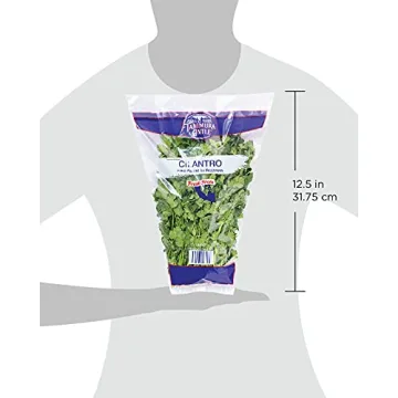 Fresh Cilantro Bunch - Zesty Flavor for Any Dish