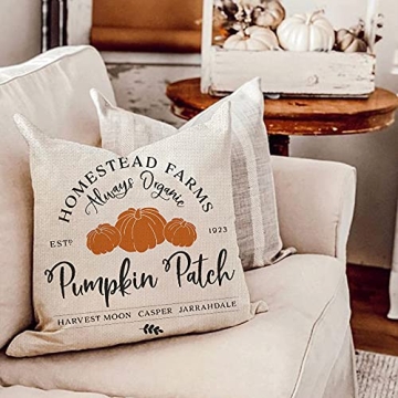 AENEY Pumpkin Patch Fall Pillow Cover for Home Decor
