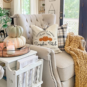 AENEY Pumpkin Patch Fall Pillow Cover for Home Decor