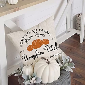 AENEY Pumpkin Patch Fall Pillow Cover for Home Decor