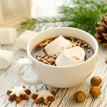 Hot Chocolate Collection Gift Set