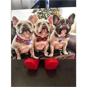 Unique Style Paws Pet Soft &Comfy Bowtie Dog Collar and Cat Collar Pet Gift for Dogs and Cats 6 Size and 7 Patterns