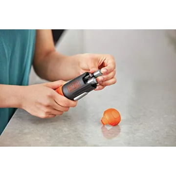 BLACK+DECKER Cordless Screwdriver with LED Light Extension Shaft