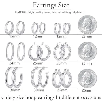 Small Surgical Steel Hoop Earrings Women Hypoallergenic Stylish