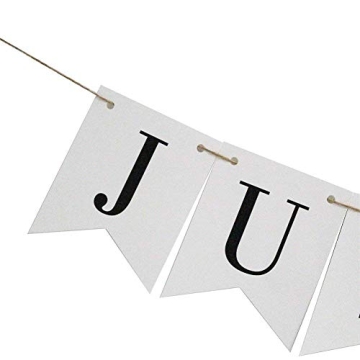 Vintage Just Married Banner for Wedding Decor and Photos