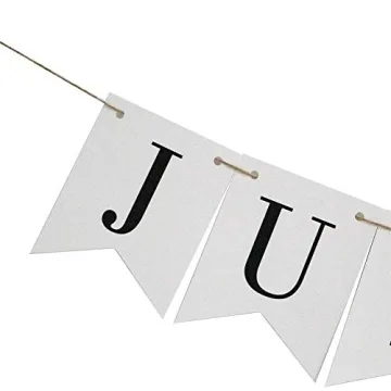 Vintage Just Married Banner for Wedding Decor and Photos