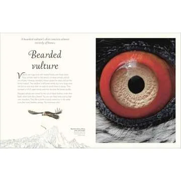 Exquisite Bird Anthology for Kids | Nature's Best