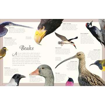 Exquisite Bird Anthology for Kids | Nature's Best
