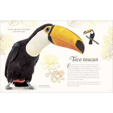 Exquisite Bird Anthology for Kids | Nature's Best