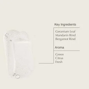 Aesop Hand Wash & Body Cleanser - Vegan Luxury