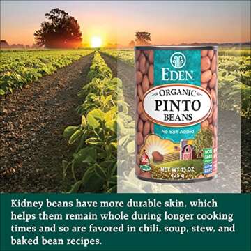 Eden Organic Pinto Beans 15 oz Can (12-Pack) No Salt Added