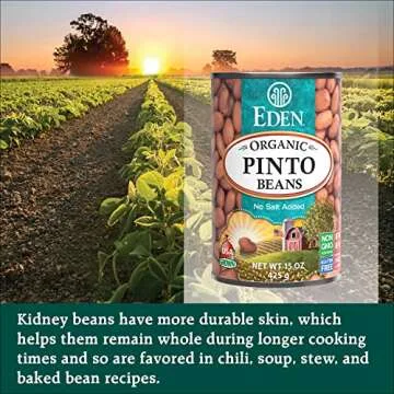 Eden Organic Pinto Beans 15 oz Can (12-Pack) No Salt Added