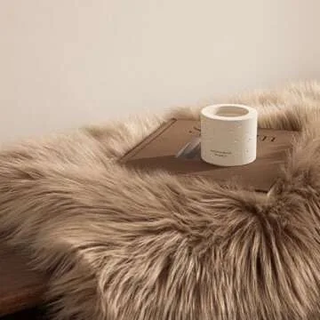 Stylish and Cozy Ashler Faux Fur Rug for Every Room