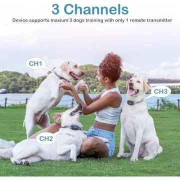 Versatile Dog Training Collar for Large Dogs 2500FT