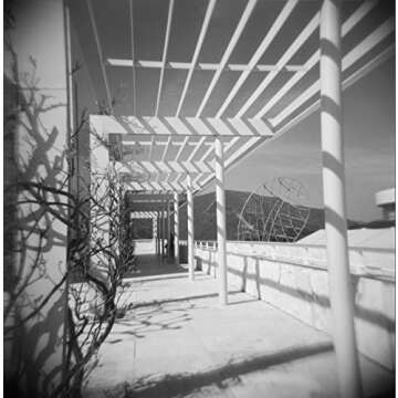 HOLGA 120GCFN Plastic Medium Format Camera with Built-in Flash and Glass Lens, Black (296120)