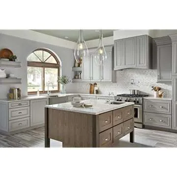 Danze D205057 Opulence Wall Mount Pot Filler, Chrome