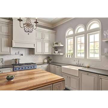 Danze D205057 Opulence Wall Mount Pot Filler, Chrome