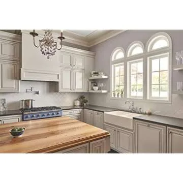 Danze D205057 Opulence Wall Mount Pot Filler, Chrome