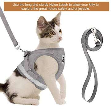 Birsppy Unified Pet All Natural Healthy Dog Jerky Treats Made in USA - Smoked, Tender, Premium Jerky...