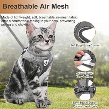 Birsppy Unified Pet All Natural Healthy Dog Jerky Treats Made in USA - Smoked, Tender, Premium Jerky Sticks - Grain Free - Beef, Chicken and Turkey Options - 12 Ounces (Chicken - Hackberry Smoked)