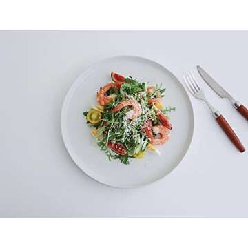 famiware Nebula 6 Pieces Dinner Plates, 10.2 inch Plates Set, Scratch Resistant, Stoneware Dinnerwar...