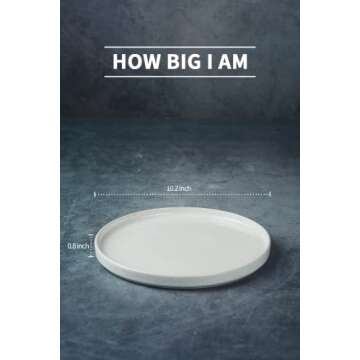 famiware Nebula 6 Pieces Dinner Plates, 10.2 inch Plates Set, Scratch Resistant, Stoneware Dinnerware, Kitchen Modern Rustic Dishes, White