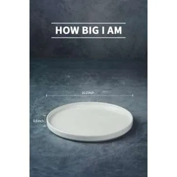 famiware Nebula 6 Pieces Dinner Plates, 10.2 inch Plates Set, Scratch Resistant, Stoneware Dinnerware, Kitchen Modern Rustic Dishes, White