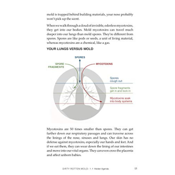 Break the Mold: Master Your Health and Conquer Mold Issues