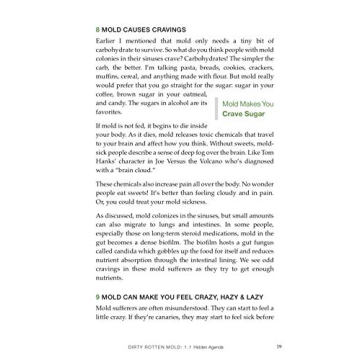 Break the Mold: Master Your Health and Conquer Mold Issues