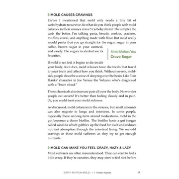 Break the Mold: Master Your Health and Conquer Mold Issues