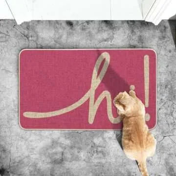 Artoid Mode Pink Hi Spring Doormat, Summer Home Decor Low-Profile Switch Rug Door Mat Floor Mat for Indoor Outdoor 17x29 Inch