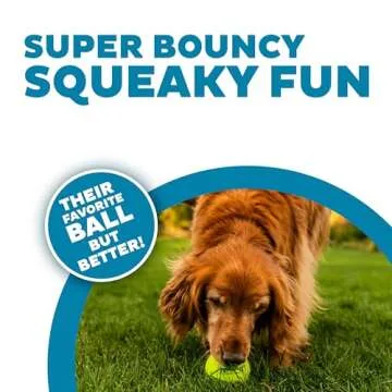 Outward Hound Squeaker Ballz Fetch Dog Toy - Durable and Fun for All Dogs