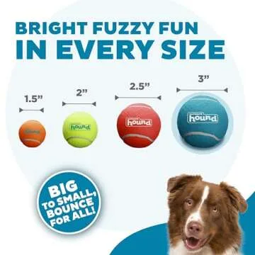 Outward Hound Squeaker Ballz Fetch Dog Toy - Large 2 Pack