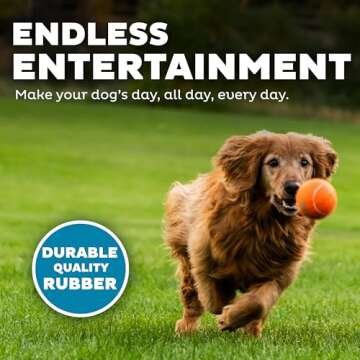 Outward Hound Squeaker Ballz Fetch Dog Toy, Large - 2 Pack