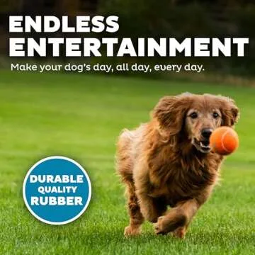 Outward Hound Squeaker Ballz Fetch Dog Toy - Large 2 Pack