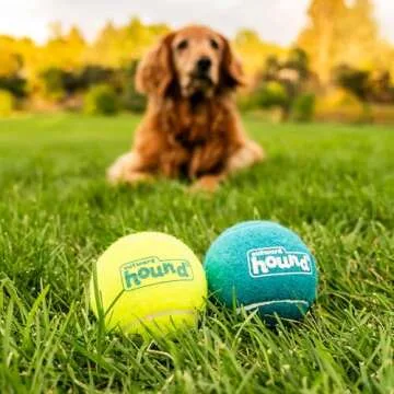 Outward Hound Squeaker Ballz Fetch Dog Toy - Large 2 Pack
