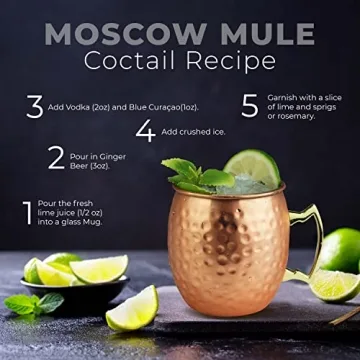 PG Moscow Mule Mugs Set of 4 Copper Plated 19 oz