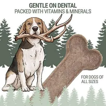 Antler and Himalayan Cheese Dog Chew | Long Lasting, Stain Free, Protein Rich, Low Odor | 100% Natural, Healthy & Safe | No Lactose, Gluten Or Grains | Antler Bone | for Dogs 45 Lbs & Smaller