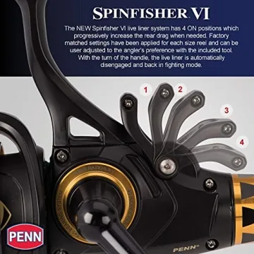 Reliable PENN Spinfisher VI Fishing Reel | Max 15lb Drag