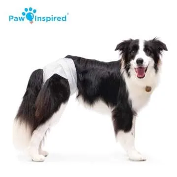 Paw Inspired Disposable Dog Diapers | Female Dog Diapers Ultra Protection | Diapers for Dogs in Heat, Excitable Urination, or Incontinence (Large (20 Count))