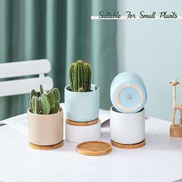 TAMAYKIM 4 Inch Ceramic Plant Pots with Drainage Hole and Saucer, Small Modern Flower Pots with Tray...