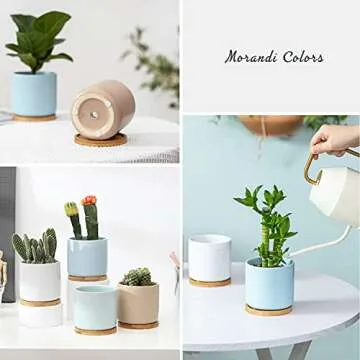 TAMAYKIM 4 Inch Ceramic Plant Pots with Drainage Hole and Saucer, Small Modern Flower Pots with Trays for Succulent, Cactus and Herbs, Morandi Colors, Set of 4
