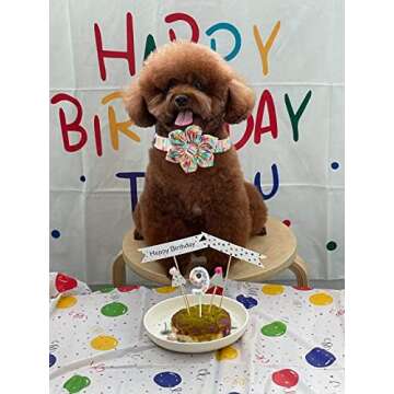 Unique style paws Dog Collar with Flower, Adjustable Birthday Dog Collar Flower Pattern, Durable Pet Collar for Small Medium Large Dogs