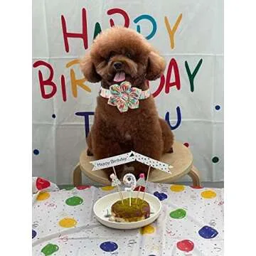 Unique style paws Dog Collar with Flower, Adjustable Birthday Dog Collar Flower Pattern, Durable Pet Collar for Small Medium Large Dogs